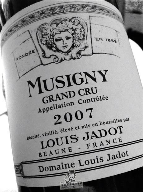 Vang Pháp Musigny Grand Cru Louis Jadot