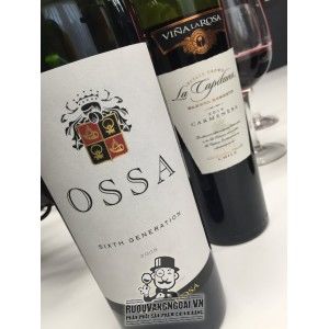 Vang Chile OSSA Icon wine bn1