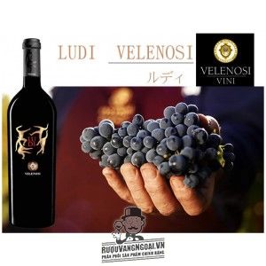 Rượu vang ý LUDI Velenosi bn2