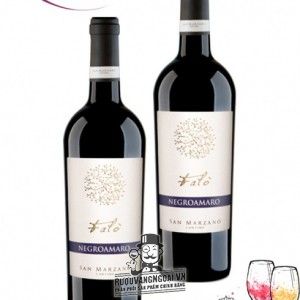 Rượu vang ý Falò Negroamaro bn1