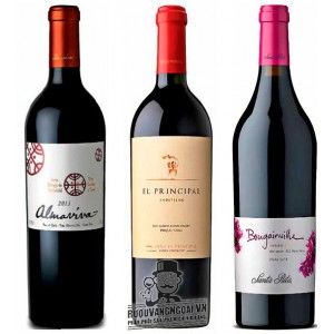 Rượu vang Chile Almaviva 2010 - 2015 bn1