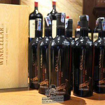 Rượu Vang Ý CANACE NERO DI TROIA bn2
