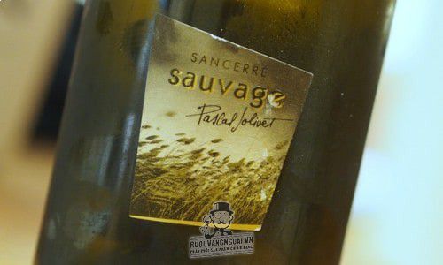Rượu vang Pháp Pascal Jolivet Sauvage Sancerre