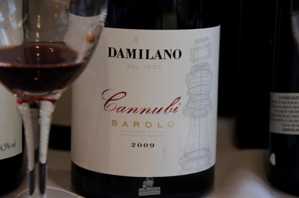 Rượu vang Ý Damilano Barolo Cannubi