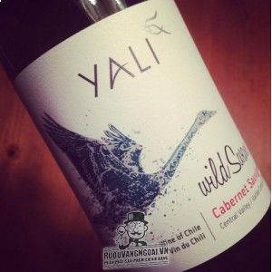 Vang Chile Yali Wild Swan cabernet Sauvignon bn1