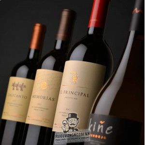 Rượu Vang Chile EL PRINCIPAL bn4