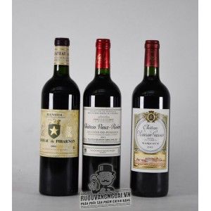Rượu vang Pháp Chateau Rauzan Gassie 2011 bn1