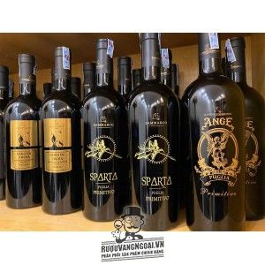 Rượu Vang Ý 19 ĐỘ SPARTA PUGLIA PRIMITIVO SAMMARCO bn1