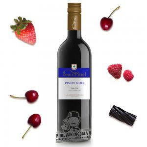 Vang Pháp Louis Pinel Pinot Noir bn1