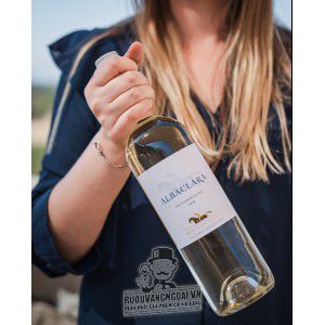 Vang Chile Albaclara Haras De Pirque Sauvignon Blanc bn1
