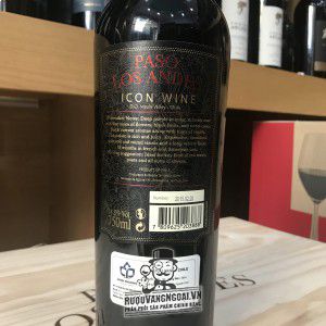 Vang Chile PASO LOS ANDES ICON WINE Thượng hạng bn1