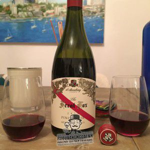 Rượu vang The Feral Fox Pinot Noir Adelaide Hills bn1