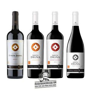 Vang Chile Santa Digna Pinot Noir bn2