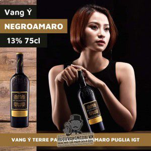 Rượu vang Terre Passeri uống ngon bn4