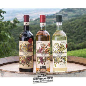 Rượu vang Carpineto Dogajolo Toscana IGT Đỏ Trắng bn4