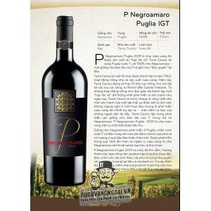 Rượu Vang Ý P Negroamaro Puglia 2020 uống ngon bn2