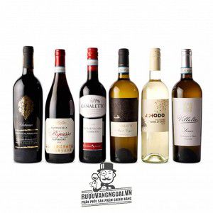 Rượu Vang Ý Virtuoso Primitivo di Manduria thượng hạng bn1