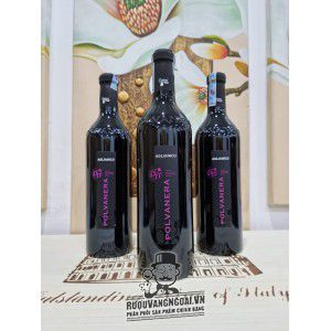 Rượu Vang Chát Aglianico Polvanera Puglia - Vang organic cao cấp bn2