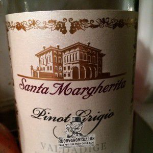Rượu Vang Ý Santa Margherita Pinot Grigio Valdadige uống ngon bn2