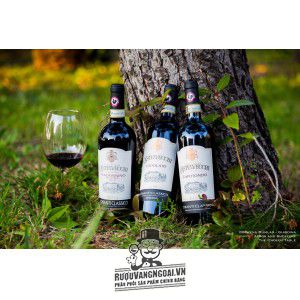 Rượu Vang Castelvecchi Gran Selezione Chianti Classico Madonnino cao cấp bn1