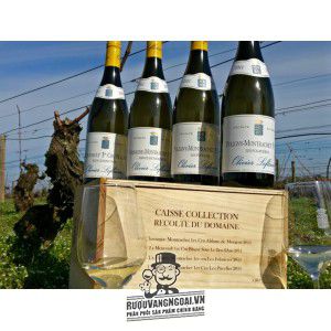 Vang Pháp Puligny Montrachet Les Folatieres Olivier Leflaive cao cấp bn2