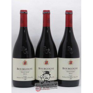 Vang Pháp Pinot Noir Bourgogne Robert Groffier Pere Fils cao cấp