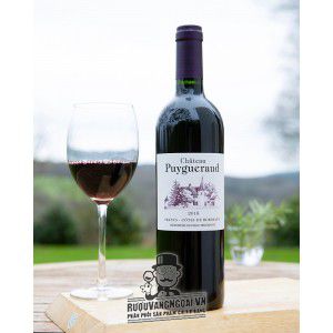 Vang Pháp Chateau Puygueraud Francs Cotes de Bordeaux uống ngon