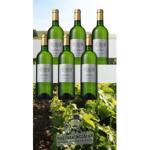Vang Pháp Chateau Reynon Sauvignon Blanc Bordeaux uống ngon bn1