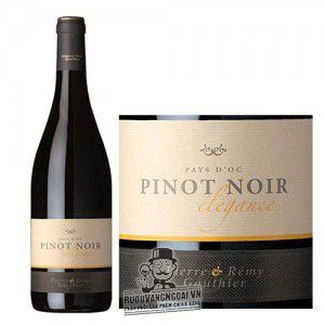 Vang Pháp Pinot Noir Pays dOc Elegance uống ngon bn2