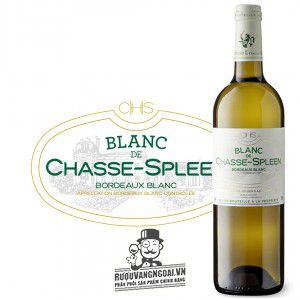 Vang Pháp Blanc de Chasse Spleen Bordeaux Blanc cao cấp bn1