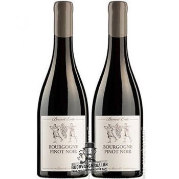 Vang Pháp Bourgogne Pinot Noir Benoit Ente thượng hạng bn1