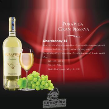 Rượu vang Chile Pura Vida Gran Reserva Chardonnay 15 bn1