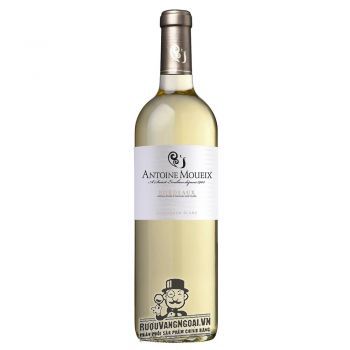 Vang Pháp Antoine Moueix Bordeaux Blanc uống ngon